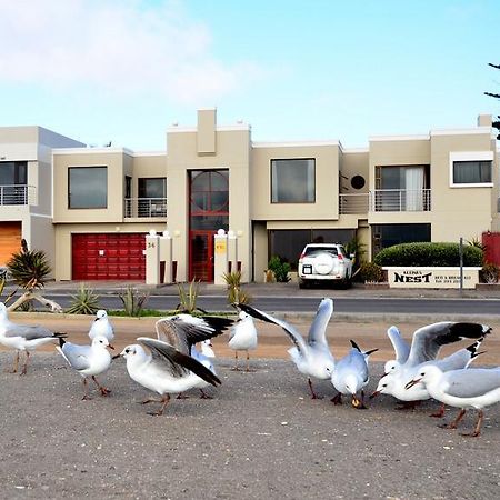 Kleines Nest Bed And Breakfast Walvis Bay Esterno foto