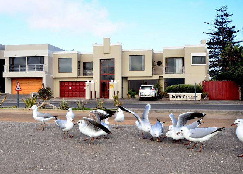 Kleines Nest Bed And Breakfast Walvis Bay Esterno foto
